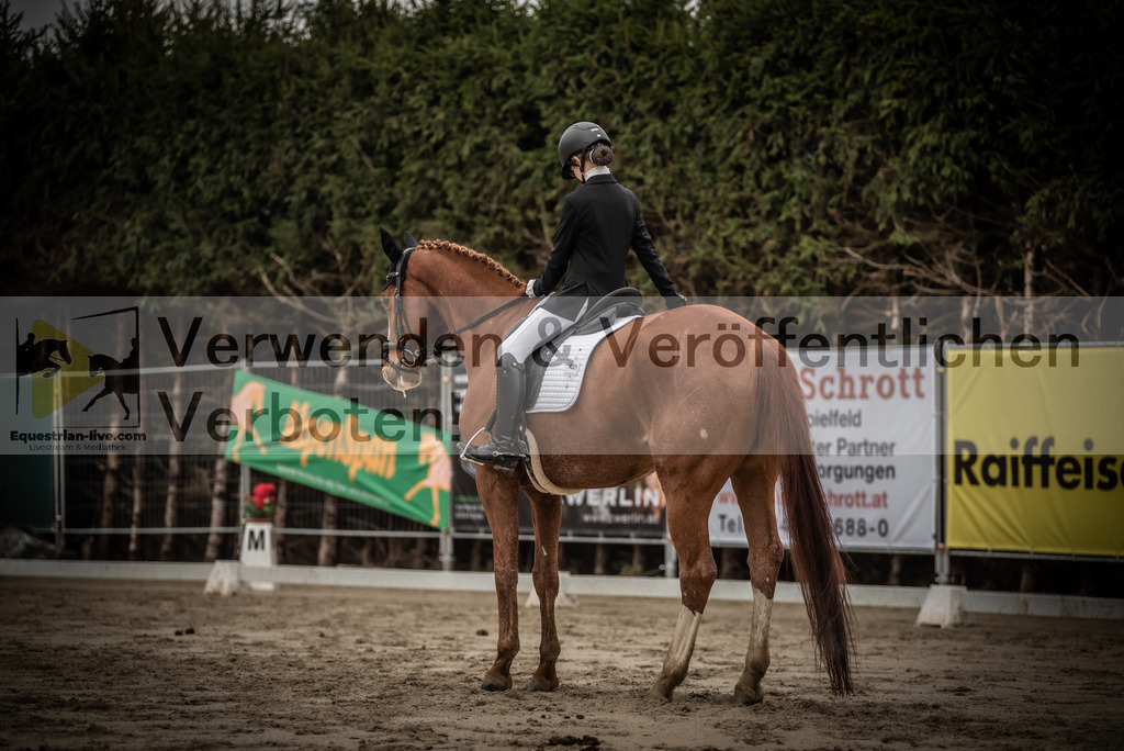 DSC_0140 | equestrian-live-com
