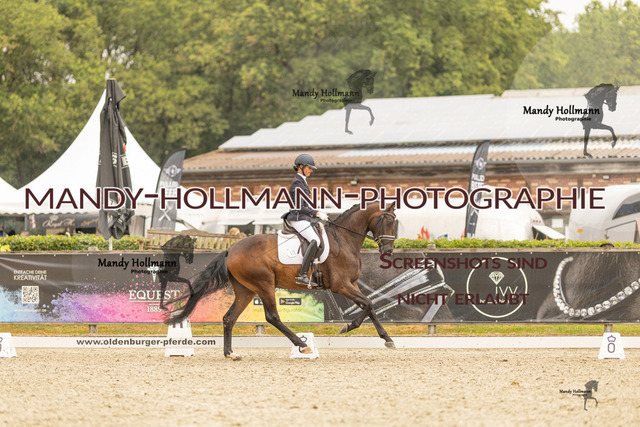 SW 4-971 | mandyhollmannphotographie