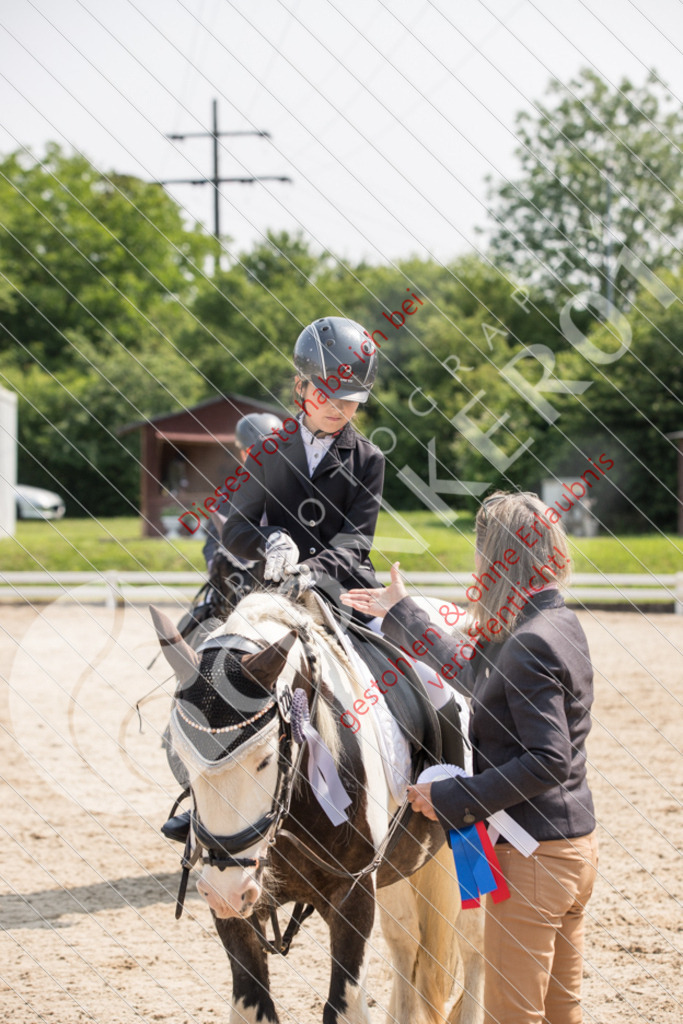 IMG_3408 | Sport-, Event- und Tierfotos in Profiqualität. Einfach auswählen, bestellen und herunterladen. Dein Moment – perfekt festgehalten.