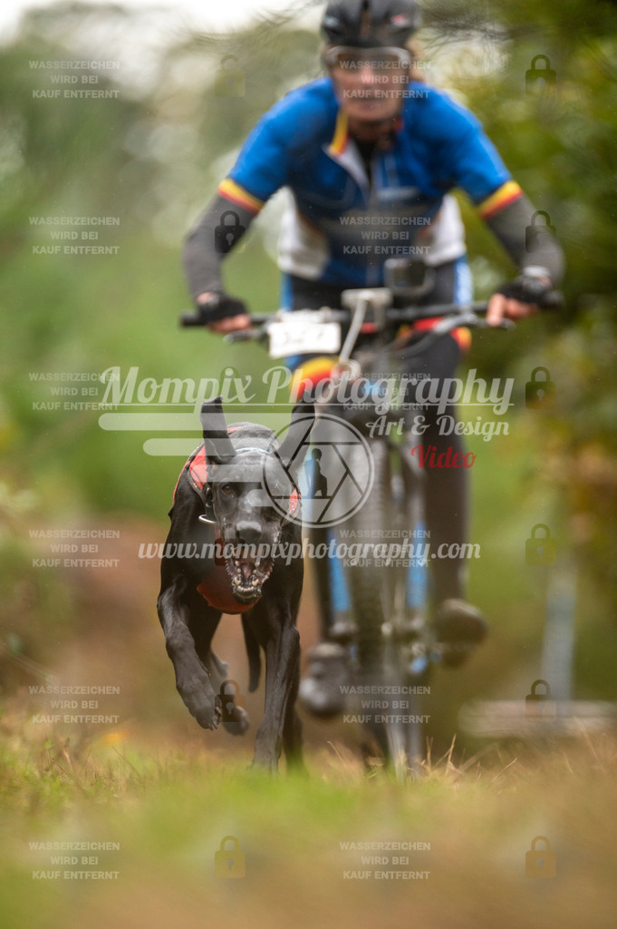 TSB_2023_E5_Bike-54 | PayLife