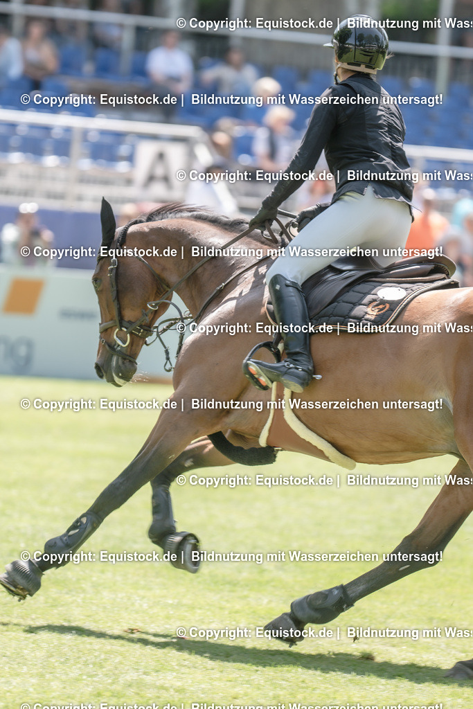 20230527_12_CSI4_Pfungstädter_0007 | equistock