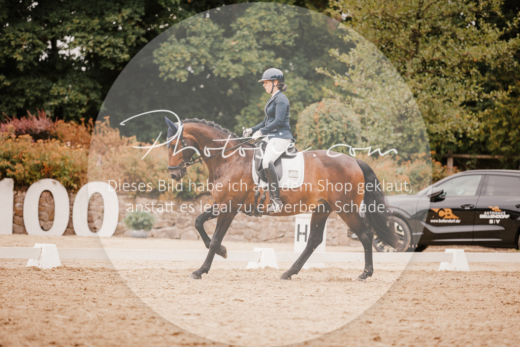 3I6A5956 | Stimmungsvolle Portraits und Reitsportfotografie im Ruhrgebiet und im Münsterland.

Pferdefotografie, Hundefotografie, Tierfotografie, Reportagen, Portraits von Tier und Mensch, Turnierfotografie in Bochum, Recklinghausen, Marl, Haltern am See, Dülmen.. - Realisiert mit Pictrs.com