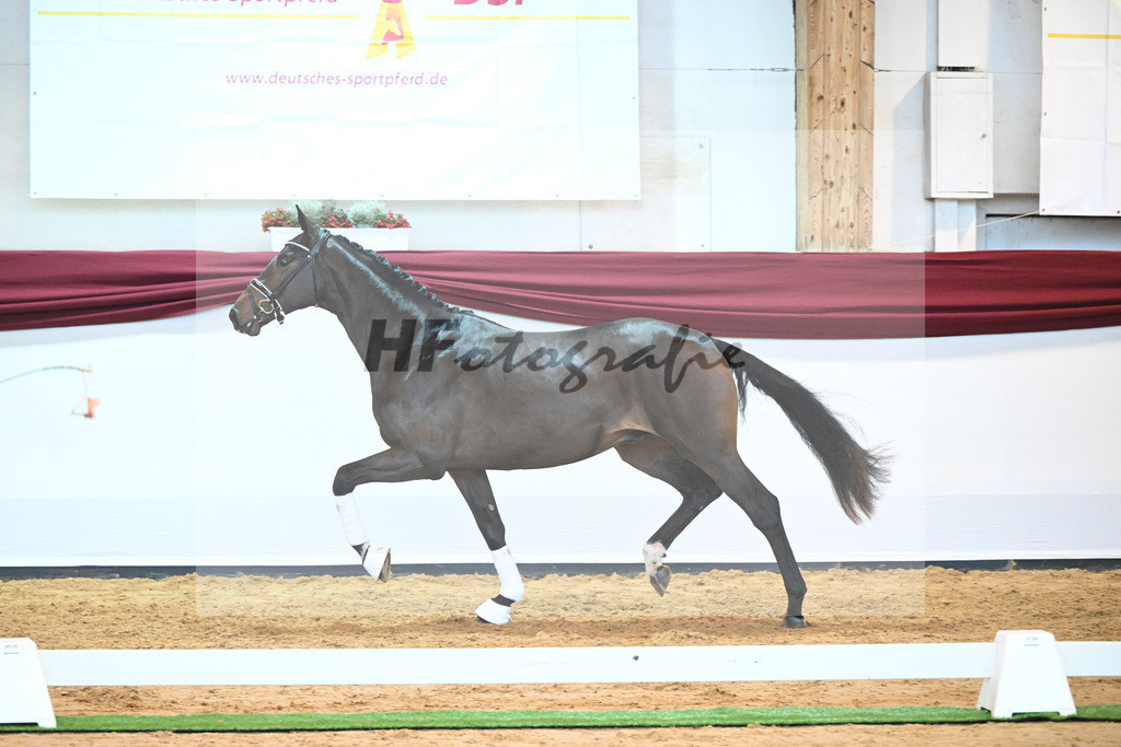Kat-Nr. 16 v. De Beau_Schult_66220233 | hf-fotografie - Realisiert mit Pictrs.com