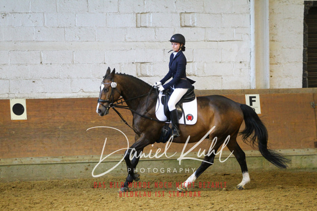 DKP43817 | Turniersportfotografie; Pferdefotografie; Dressurfotografie