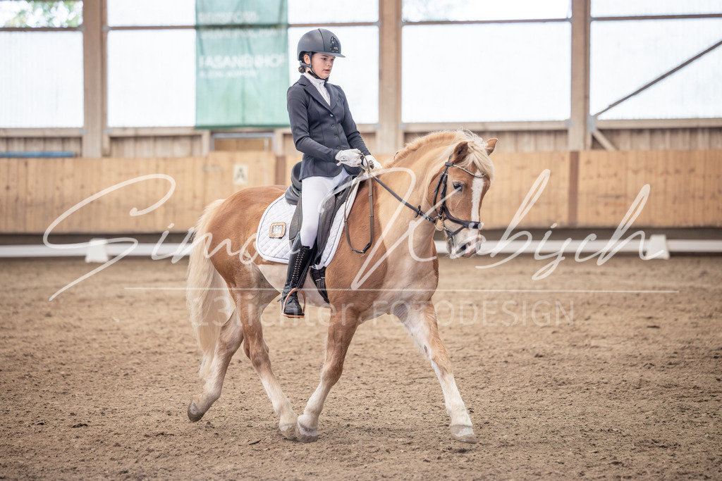 20251011-_3LI0538 | Tierfotografie Pferde, Hunde, Katzen, Haustiere.
Turnierfotografie Reitturniere, Reiten, Springreiten, Dressur in Hanau, dem Main-Kinzig-Kreis und dem Rhein-Main- Gebiet um Frankfurt