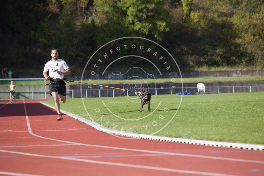 0L8A9852 | Hundefotografie, Tierfotograf, Pfotenfotografie, Fotoshooting Hund, Hunde Portrait, Hundesport, Hundeportraits, Heideshooting, Hunde, Sportfotograf, Hundefotograf, Turnierhundsport, THS,  - Realisiert mit Pictrs.com