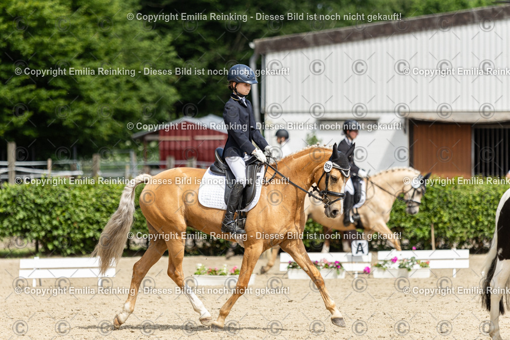 CL5A1090 | Emilia Reinking Fotografie - Realisiert mit Pictrs.com