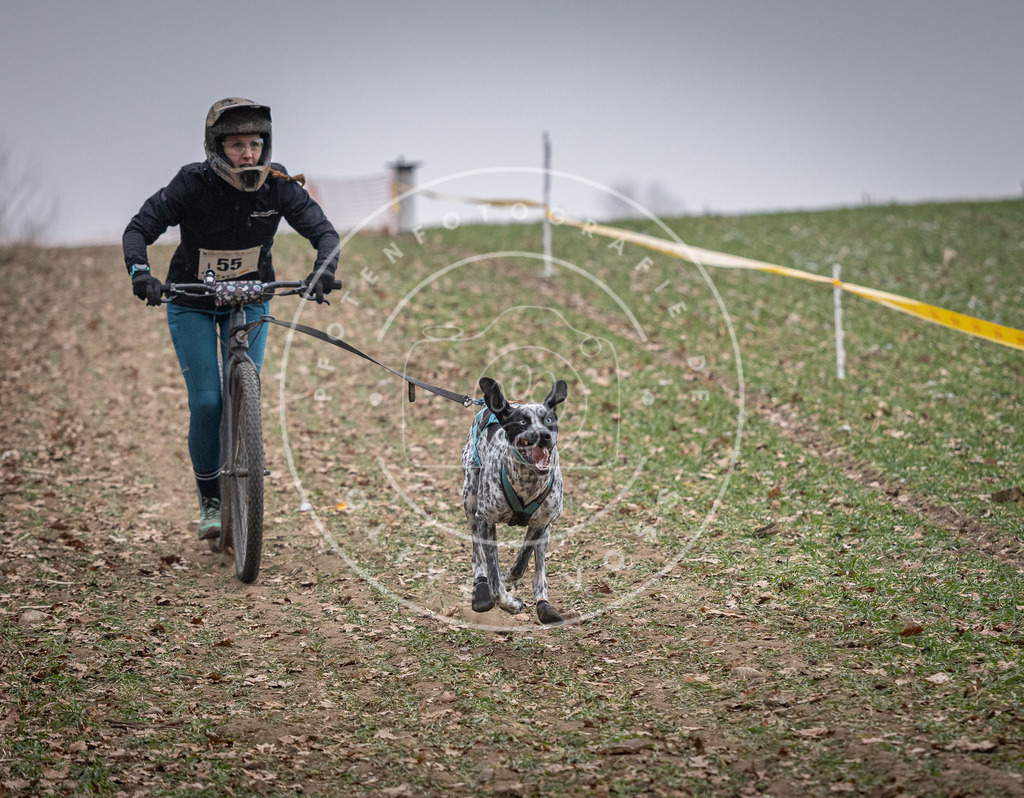 Pfotenfotografie_DV3A1183 | Hundefotografie, Tierfotograf, Pfotenfotografie, Fotoshooting Hund, Hunde Portrait, Hundesport, Hundeportraits, Heideshooting, Hunde, Sportfotograf, Hundefotograf, Turnierhundsport, THS,  - Realisiert mit Pictrs.com