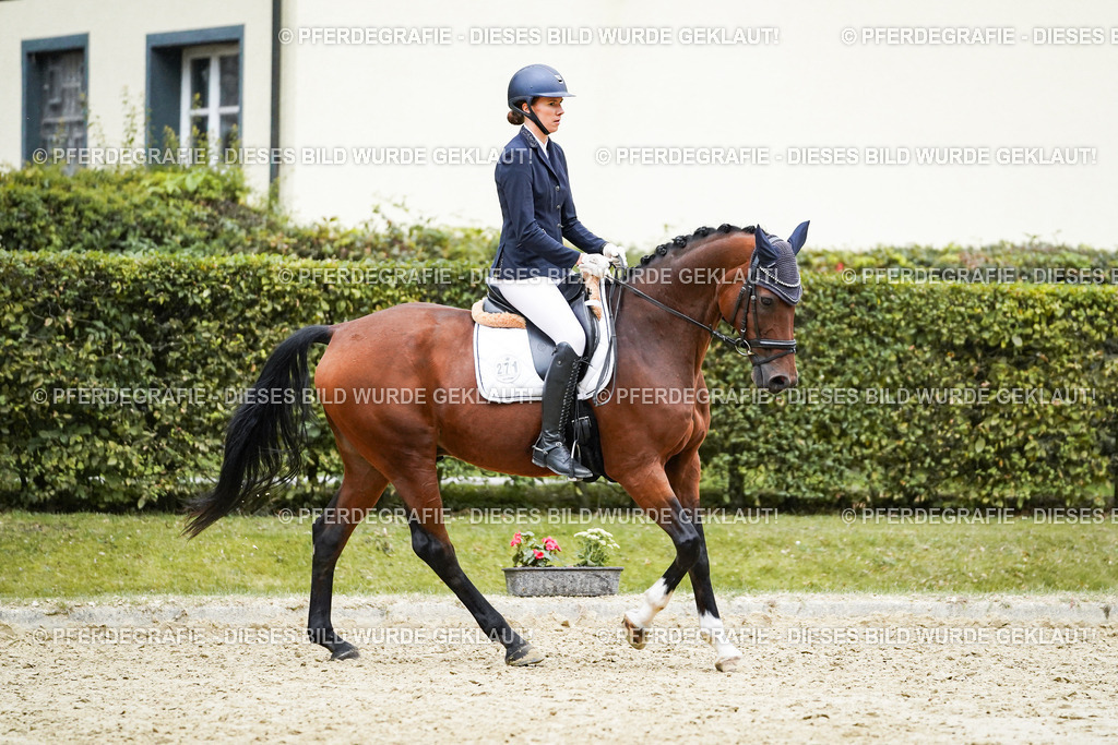 DSC00335 | Pferdegrafie