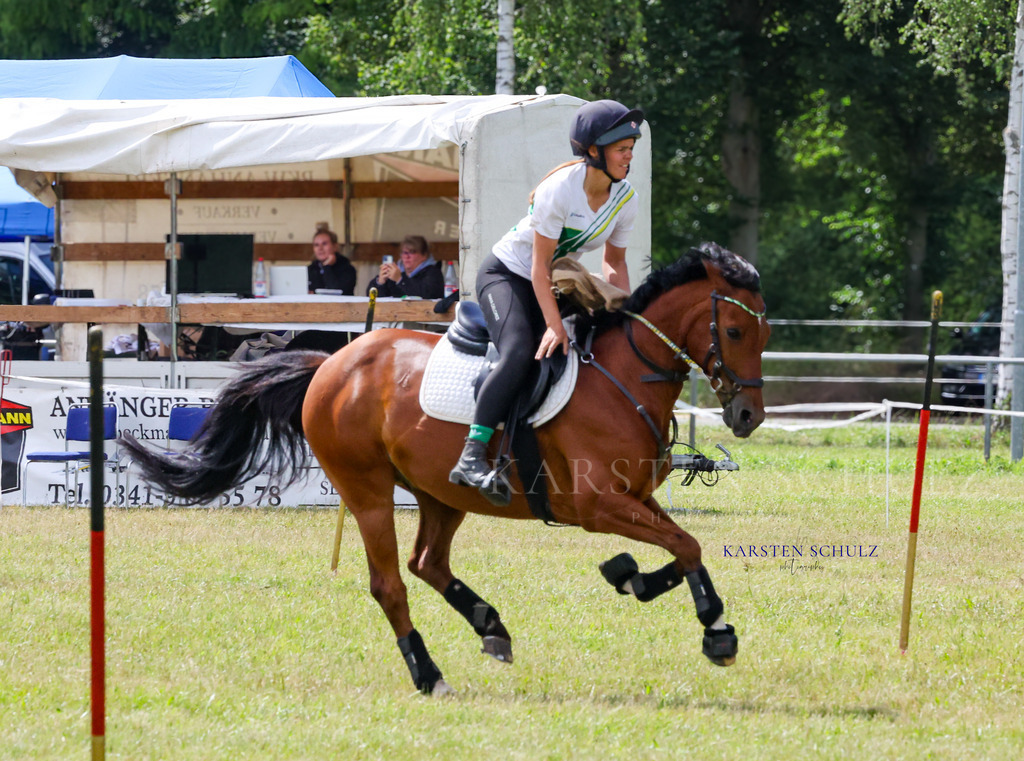 1B3A4666 | Reitsport Reiten