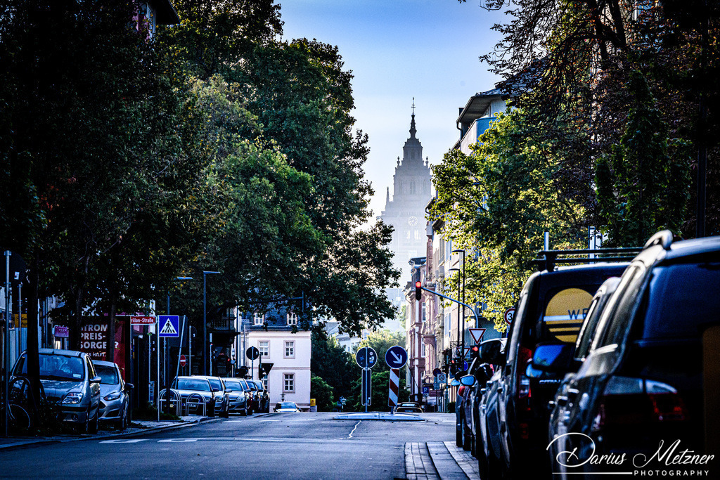 Der Mainzer Dom | Der Mainzer Dom