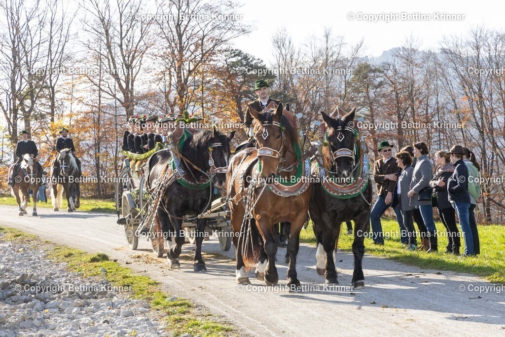 LBT24-1548 | foto-bettina-krinner - Realisiert mit Pictrs.com