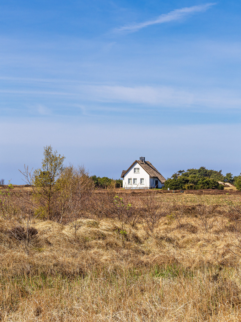 Ferienhaus zwischen Vitte und Neuendorf auf der Insel Hiddensee | Ferienhaus zwischen Vitte und Neuendorf auf der Insel Hiddensee.