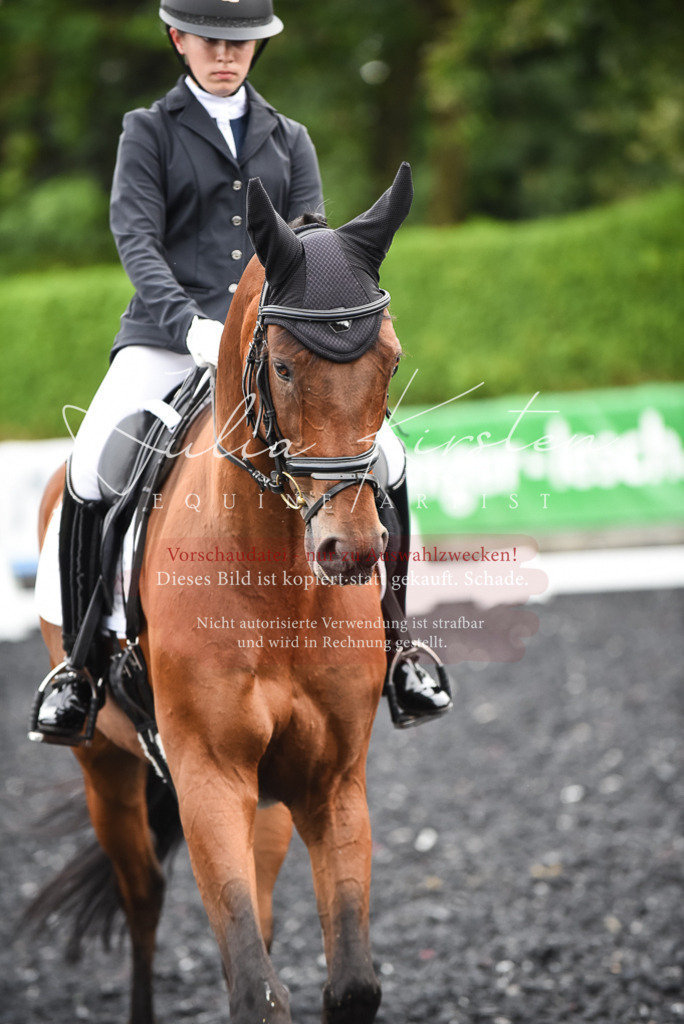DSC_2685 | Pferde- und Turnierfotografie in Westsachsen. Pferdeportraits, Auftragszeichnungen und intuitive Kunst.