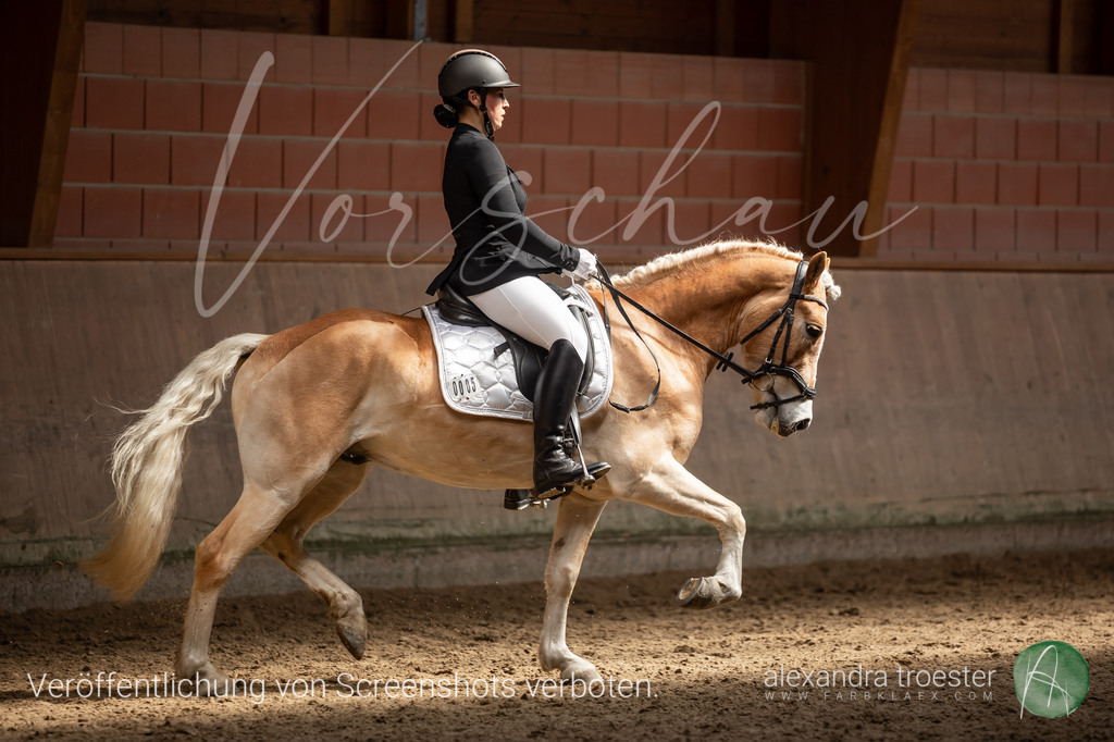 250405_Barop_11_283 | farbklaex.com