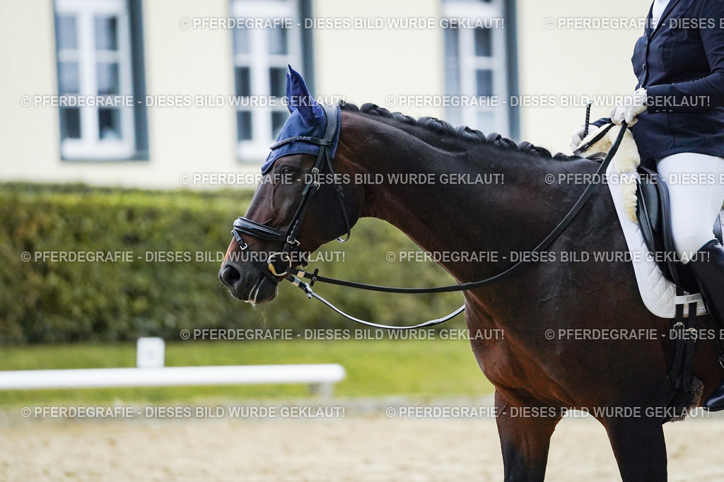 DSC00132 | Pferdegrafie