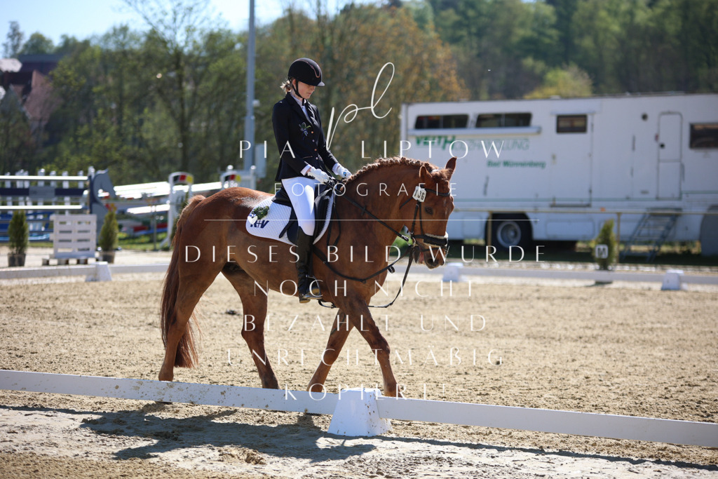 IMGT0520 | pl-fotografie