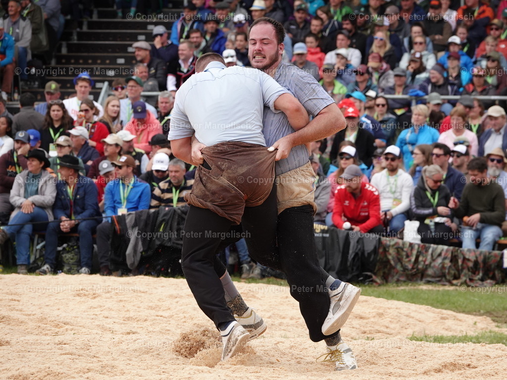 DSC08105 | Schwingen - Realisiert mit Pictrs.com