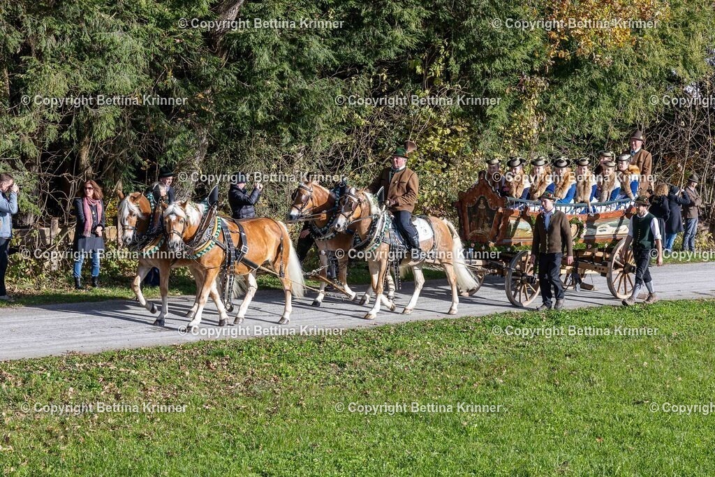 LBT24-638 | foto-bettina-krinner - Realisiert mit Pictrs.com