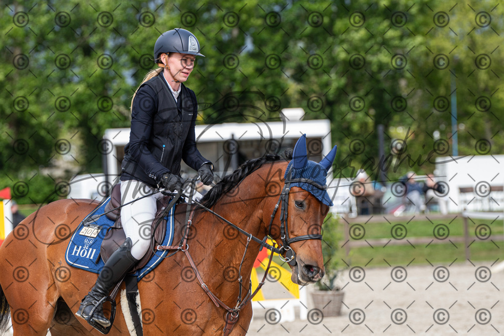 KPT_0210 | andre_photographic