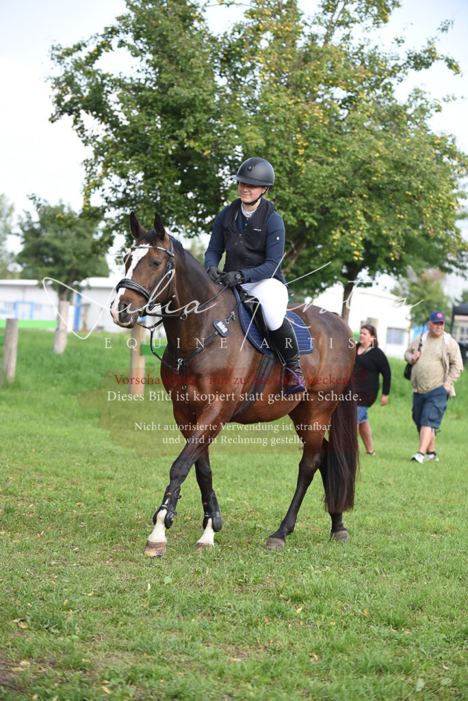 DSC_8603 | Pferde- und Turnierfotografie in Westsachsen. Pferdeportraits, Auftragszeichnungen und intuitive Kunst.
