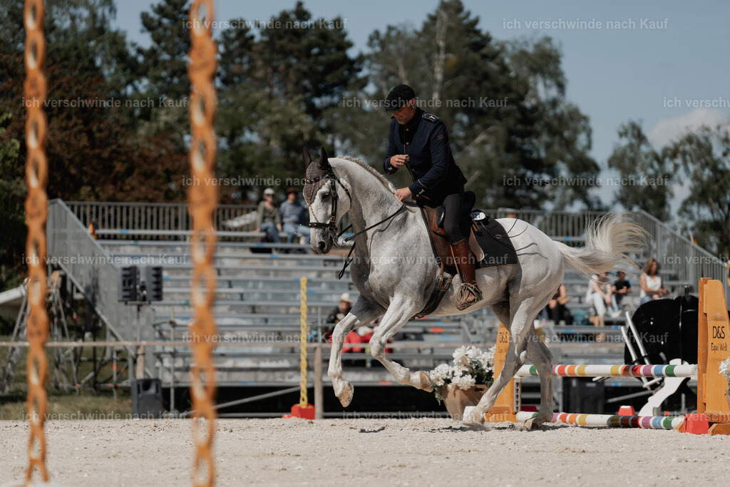 WE_ST_Stoib_327_PI2025_1333 | Pferd International München 2025