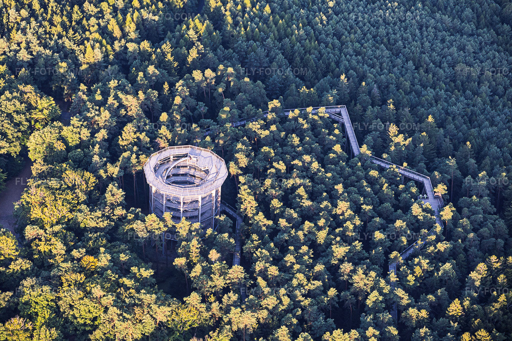 Aerial view: Treetop Walk Alsace / Chemin des Cimes Alsace in Cleebourg in the state Bas-Rhin, France. – Photo: IMG_158114.jpg taken on 07/25/2026 by Werner Riehm/FLY-FOTO.com – Resolution of the original: 6000 x 4000 px – Le Chemin des Cimes Alsace