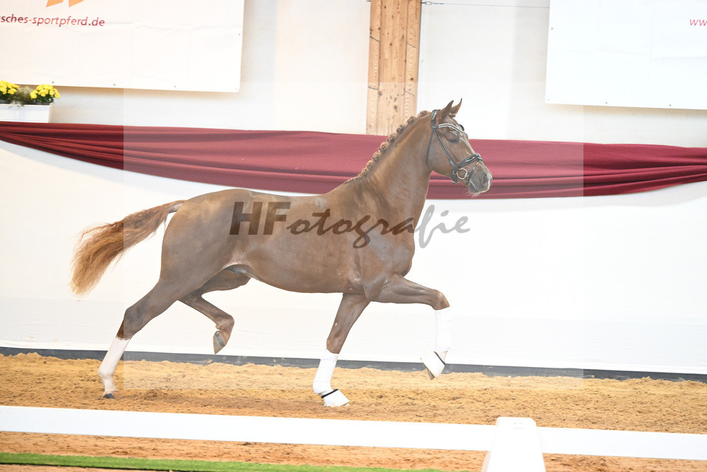 Kat-Nr. 74 v. Le Formidable_Maier_66220340 | hf-fotografie - Realisiert mit Pictrs.com