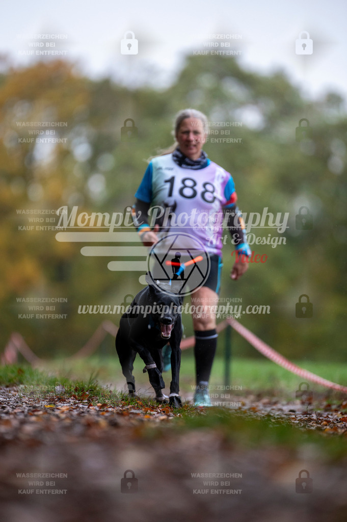 DBT_DAKM_SA_4_11_2023_Canicross-109 | PayLife