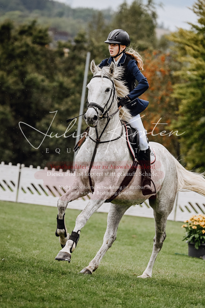 DSC_7080 | Pferde- und Turnierfotografie in Westsachsen. Pferdeportraits, Auftragszeichnungen und intuitive Kunst.