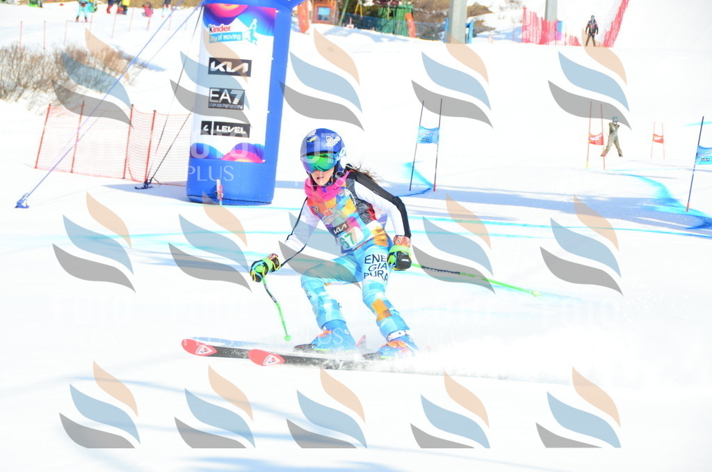 DSC_0382 | holidayphoto