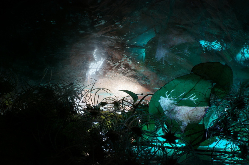 Hirsch | cornelia-geissler - Realisiert mit Pictrs.com