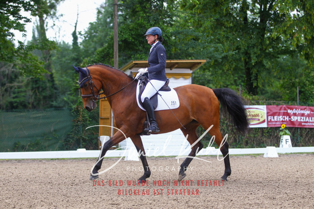 DKP41855 | Turniersportfotografie; Pferdefotografie; Dressurfotografie