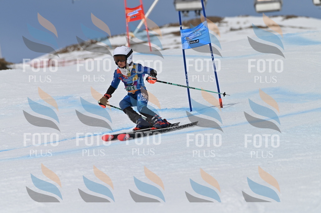 BGV_5980 | holidayphoto