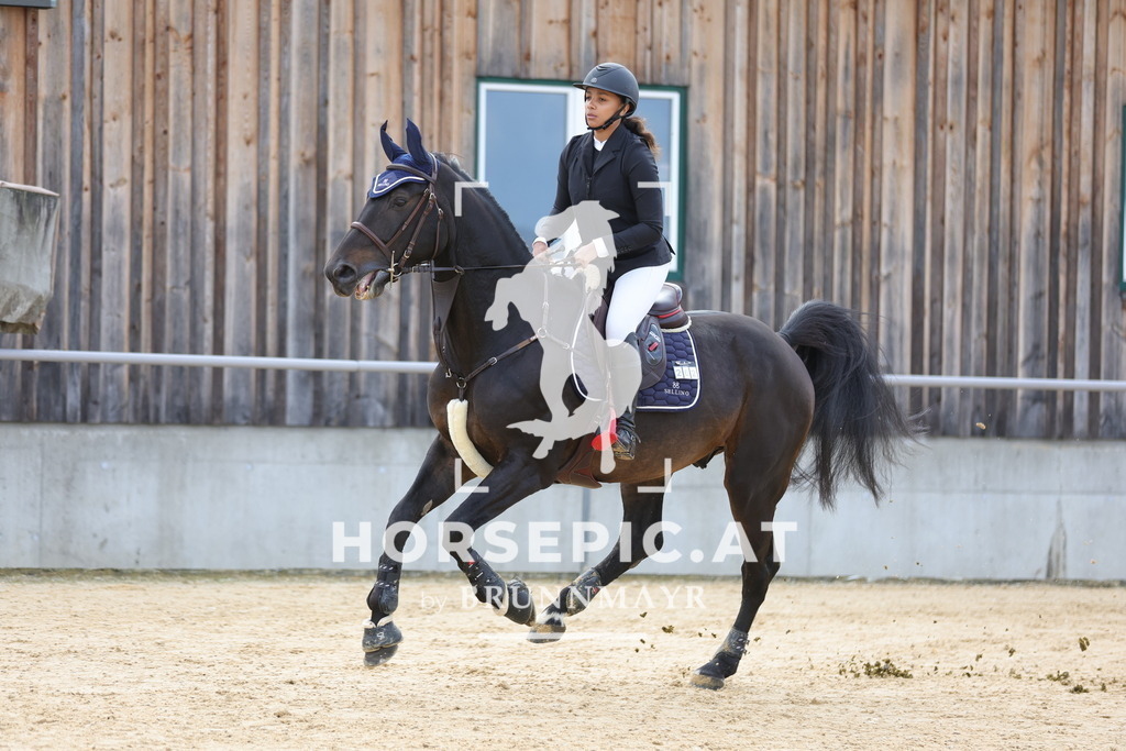 0P6A9401 | Willkommen bei Brunnmayr - Design & Fotografie – Ihrem Spezialisten für Reitturniere und Pferdeveranstaltungen in Oberösterreich, Salzburg und Bayern! Seit über 17 Jahren sind wir leidenschaftlich dabei.