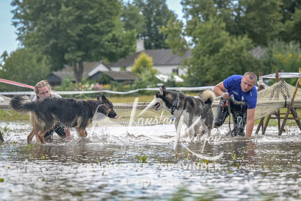 1327_ZZ91278 | kk-dogfotos