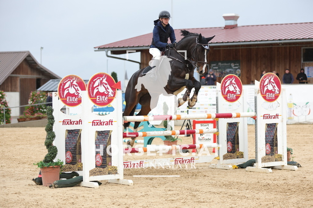 0P6A8715 | Willkommen bei Brunnmayr - Design & Fotografie – Ihrem Spezialisten für Reitturniere und Pferdeveranstaltungen in Oberösterreich, Salzburg und Bayern! Seit über 17 Jahren sind wir leidenschaftlich dabei.