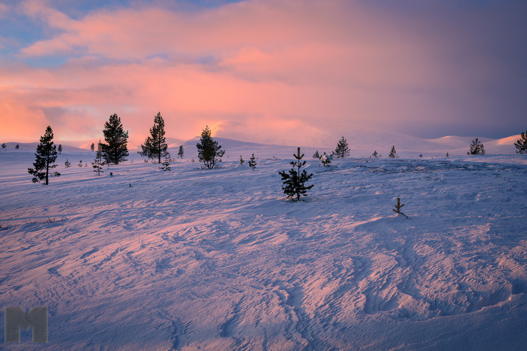 Digerhogna im Abendlicht | Landschafts- und Tierfotografie zu allen Jahreszeiten. Und immer die Schönheit des Lichtes im Auge... - Realisiert mit Pictrs.com