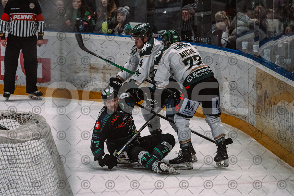 Alligators_vs_Erding_01_02_2026-18 | Höchstadt Alligators Fotogalerie: Eishockey-Action aus Franken. Professionelle Spielfotos, Portraits & Stadionbilder zum Download. Jetzt entdecken! - Realisiert mit Pictrs.com