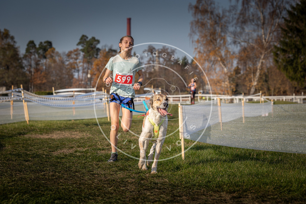 CaniXpix_0L8A0038 | Hundefotografie, Tierfotograf, Pfotenfotografie, Fotoshooting Hund, Hunde Portrait, Hundesport, Hundeportraits, Heideshooting, Hunde, Sportfotograf, Hundefotograf, Turnierhundsport, THS,  - Realisiert mit Pictrs.com
