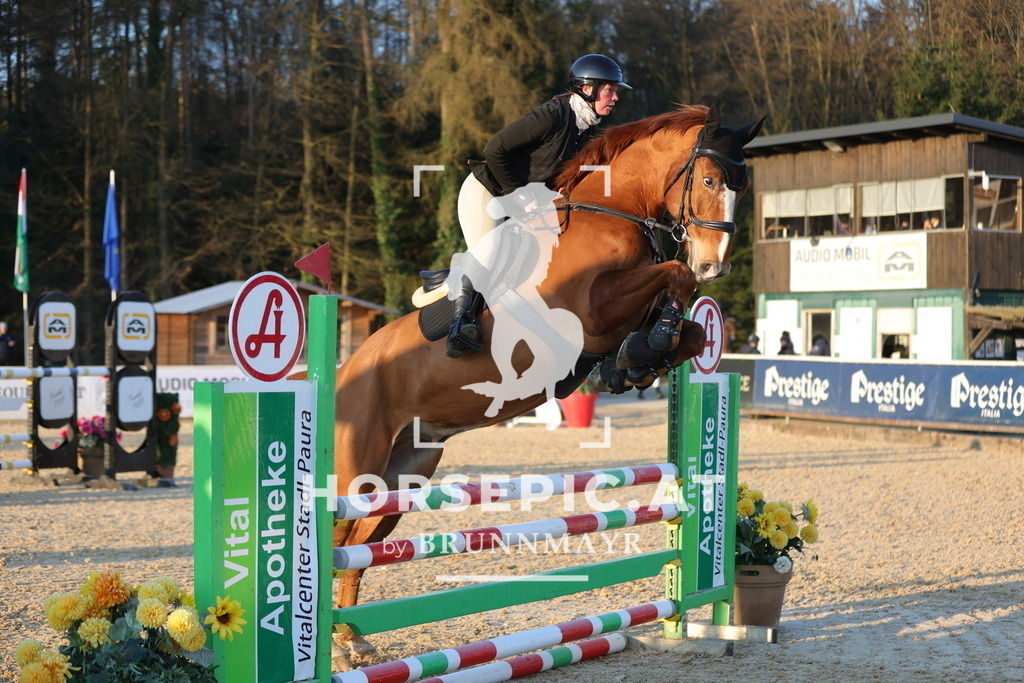 0P6A8732 | Willkommen bei Brunnmayr - Design & Fotografie – Ihrem Spezialisten für Reitturniere und Pferdeveranstaltungen in Oberösterreich, Salzburg und Bayern! Seit über 17 Jahren sind wir leidenschaftlich dabei.