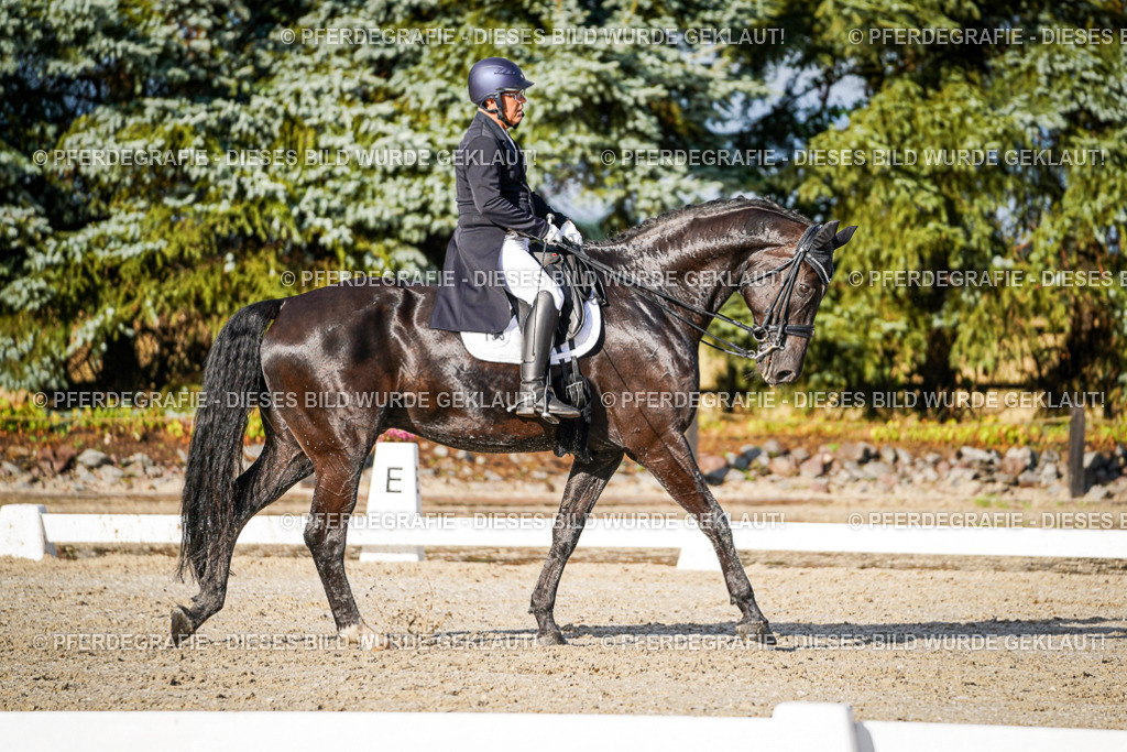 DSC00587 | Pferdegrafie