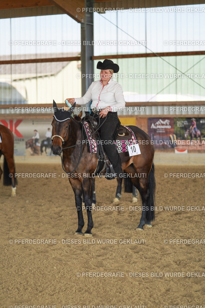 DSC00019 | Pferdegrafie