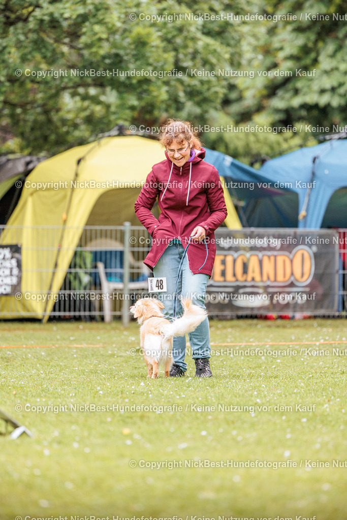 RO-Blumenthal-2026-Nickbest-Hundefotografie-0672 | Dein Hund! Dein Moment! Deine Erinnerungen! Hundefotografie in Bremen Blumenthal. Ich fange die besonderen Momente deines Vierbeiners ein – ob Indoor mit Blitzanlage oder in der freien Natur. Sicher dir dein Moment und dein Termin für eure Erinnerungen.