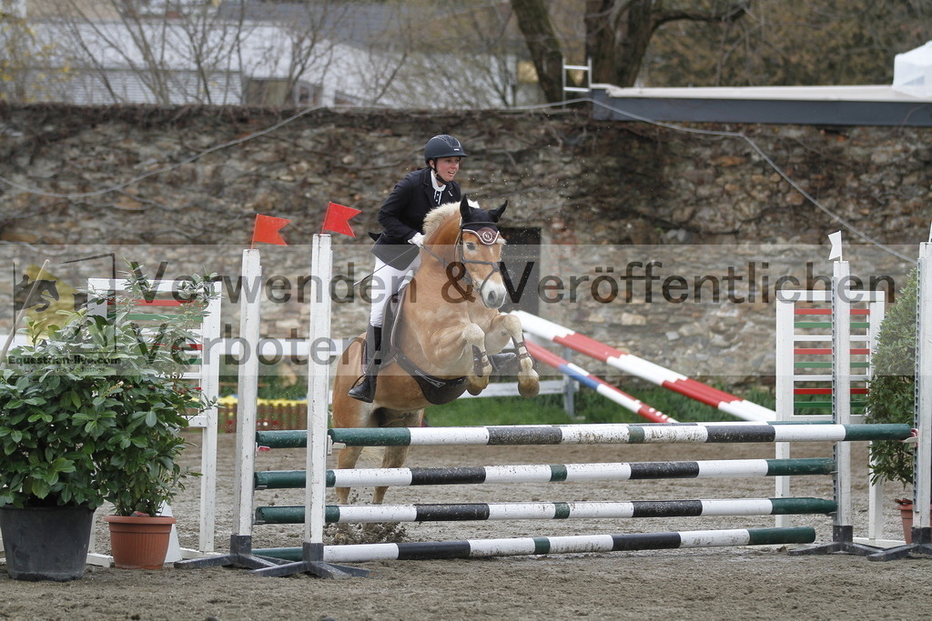 _MG_3534 | equestrian-live-com