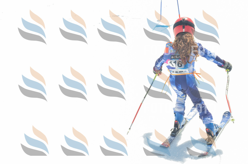 _ELE5966 | holidayphoto