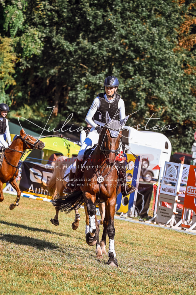 DSC_1186 | Pferde- und Turnierfotografie in Westsachsen. Pferdeportraits, Auftragszeichnungen und intuitive Kunst.