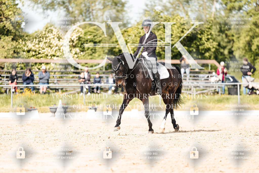 CK900333 | Turnierfotografie Pferdefotografie Trier Rheinland-Pfalz Pferdesport Reitsport Tierfotografie Sportfotografie Pferdevideo Pferdevideografie Equestrianvideography equestrianphotography  - Realisiert mit Pictrs.com