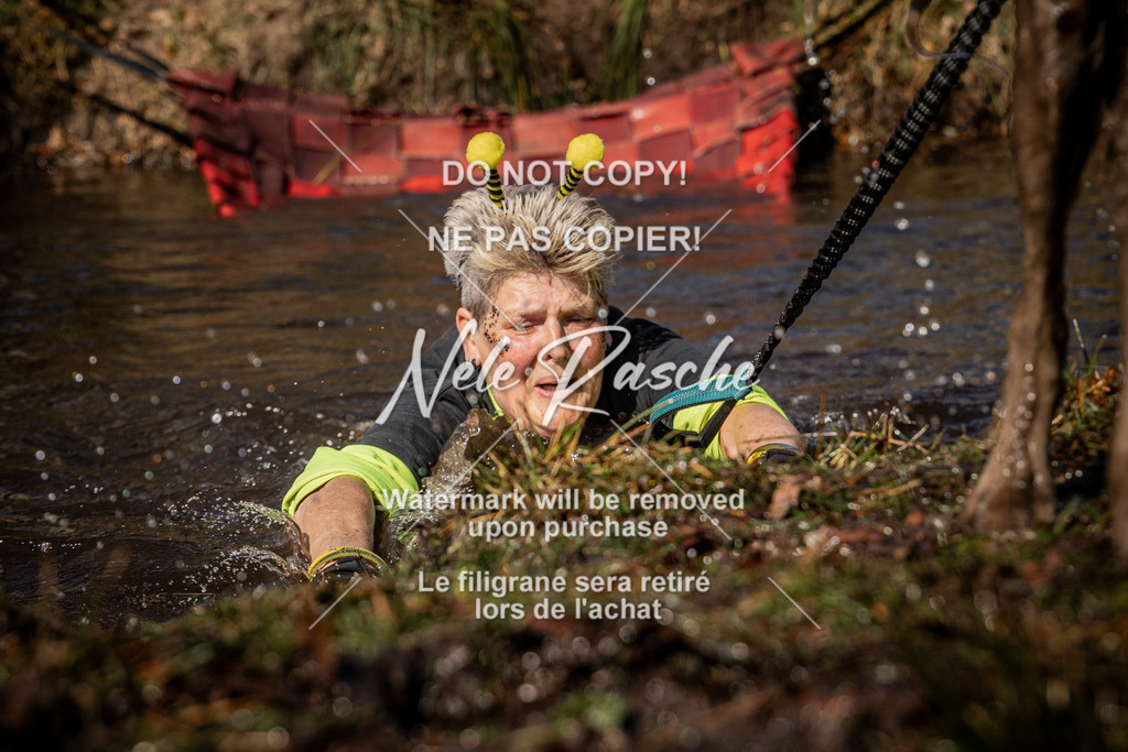nelerasche_FS1145-1230_98 | nelerasche
