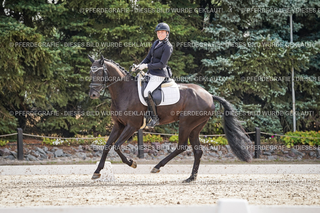 DSC07147 | Pferdegrafie